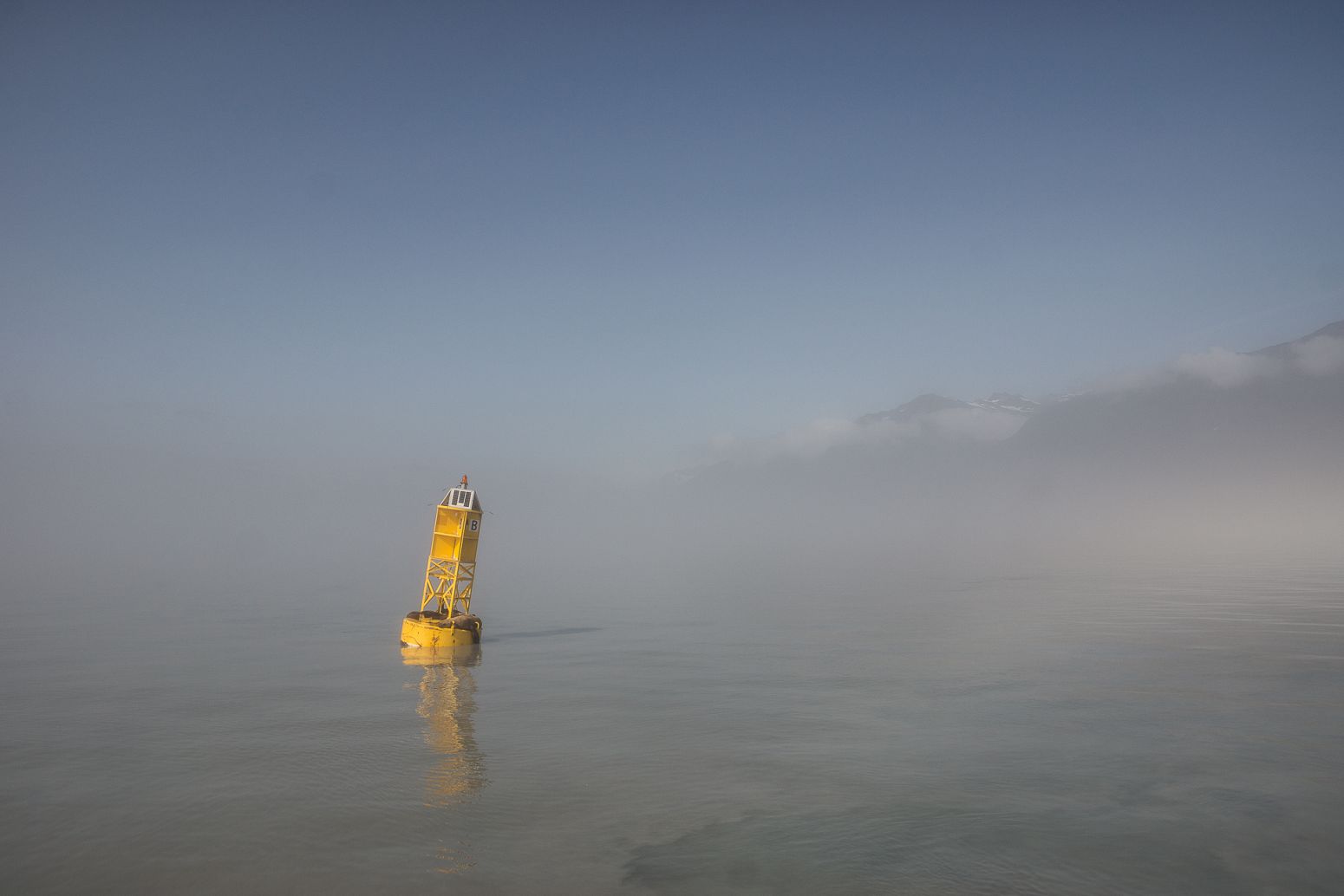 Sea lions over a security buoy in Port Valdez, Alaska, USA