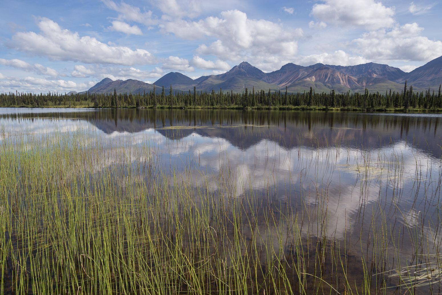 Small lake along the Denali Hwy, Alaska, USA