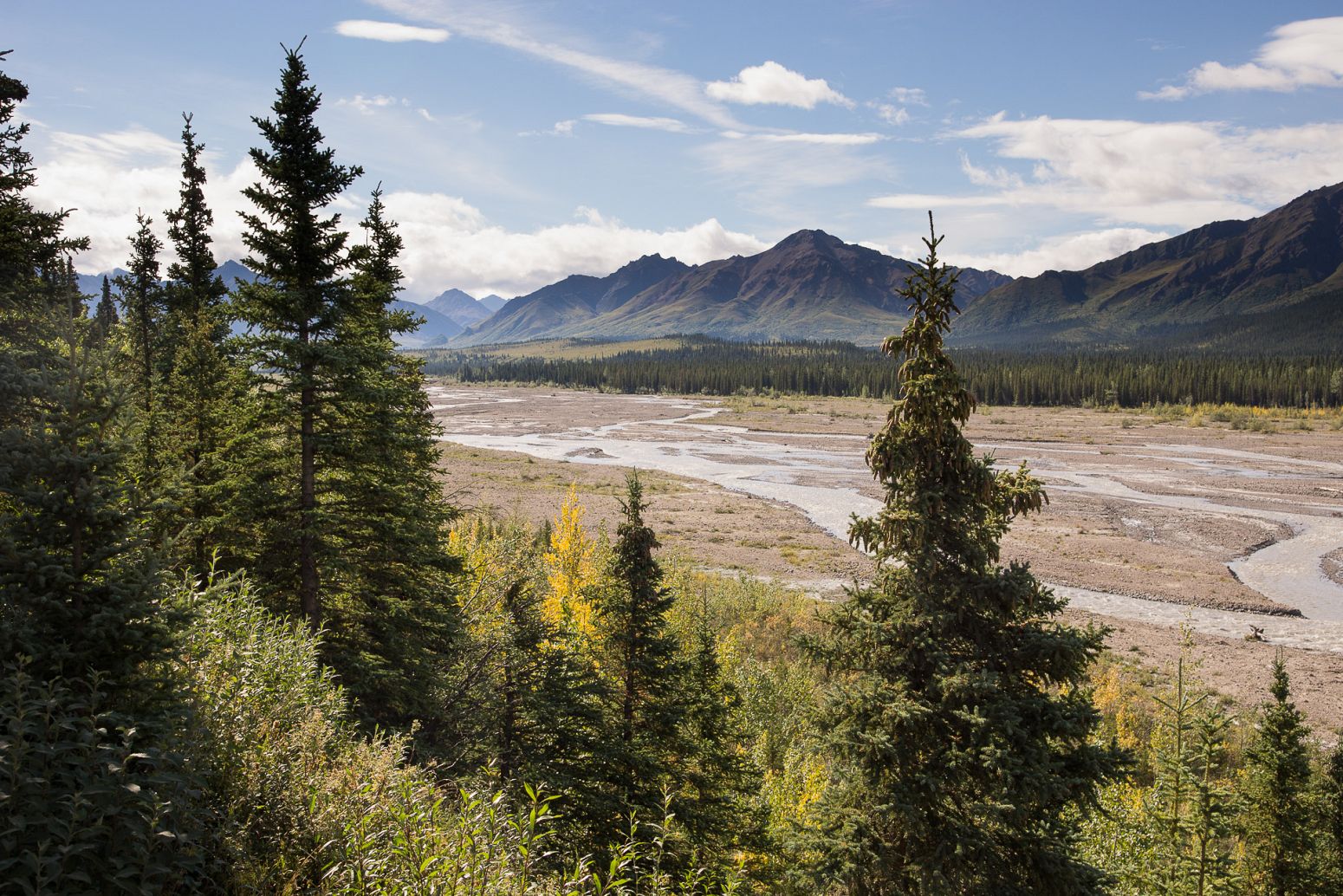 Teklanika River, Denali NP, Alaska, USA