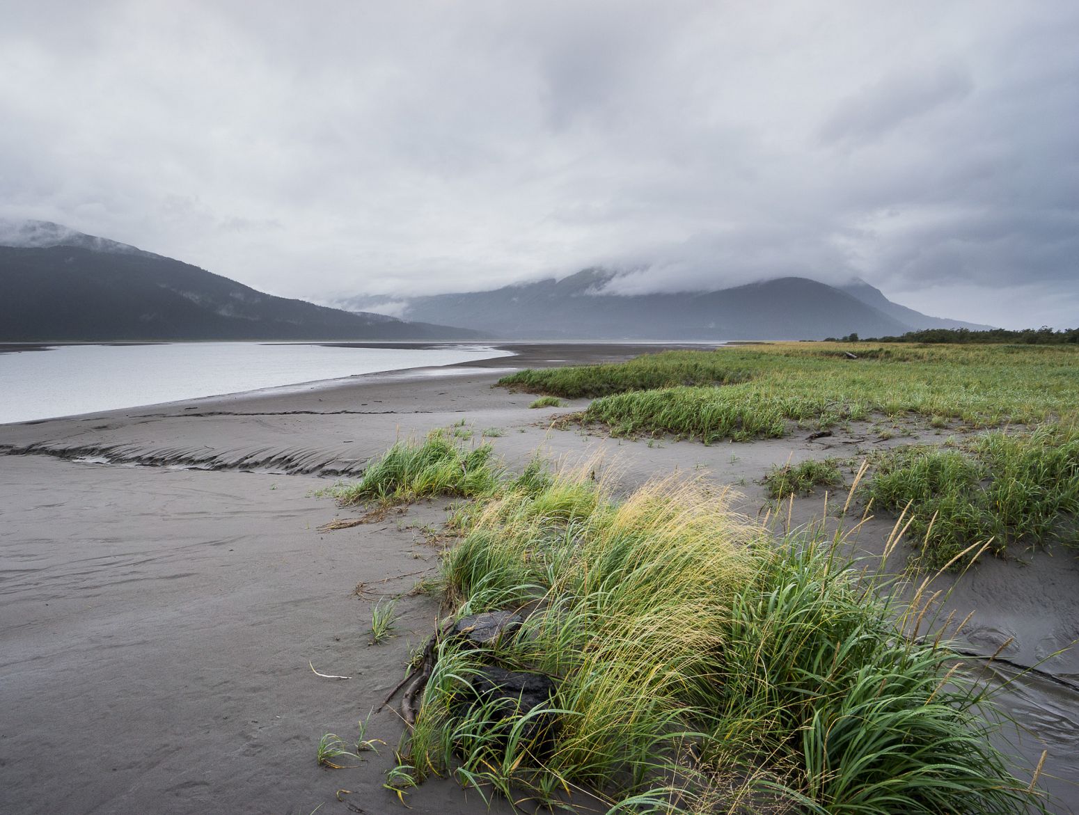 Along the Seward Hwy, Alaska, USA
