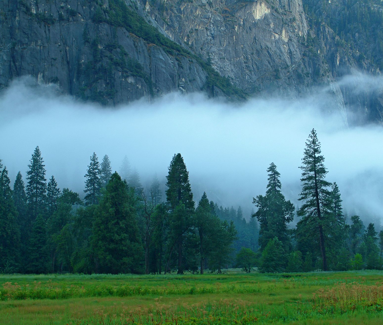 Low clouds after some heavy rain, Yosemite NP, California, USA