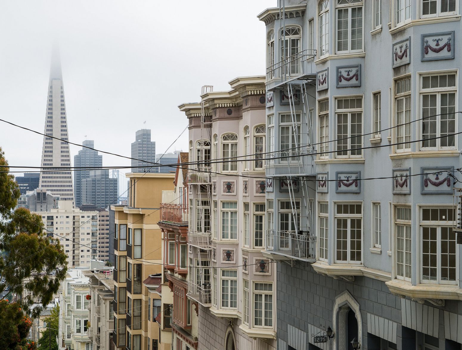 View from Washington St, San Francisco, California, USA
