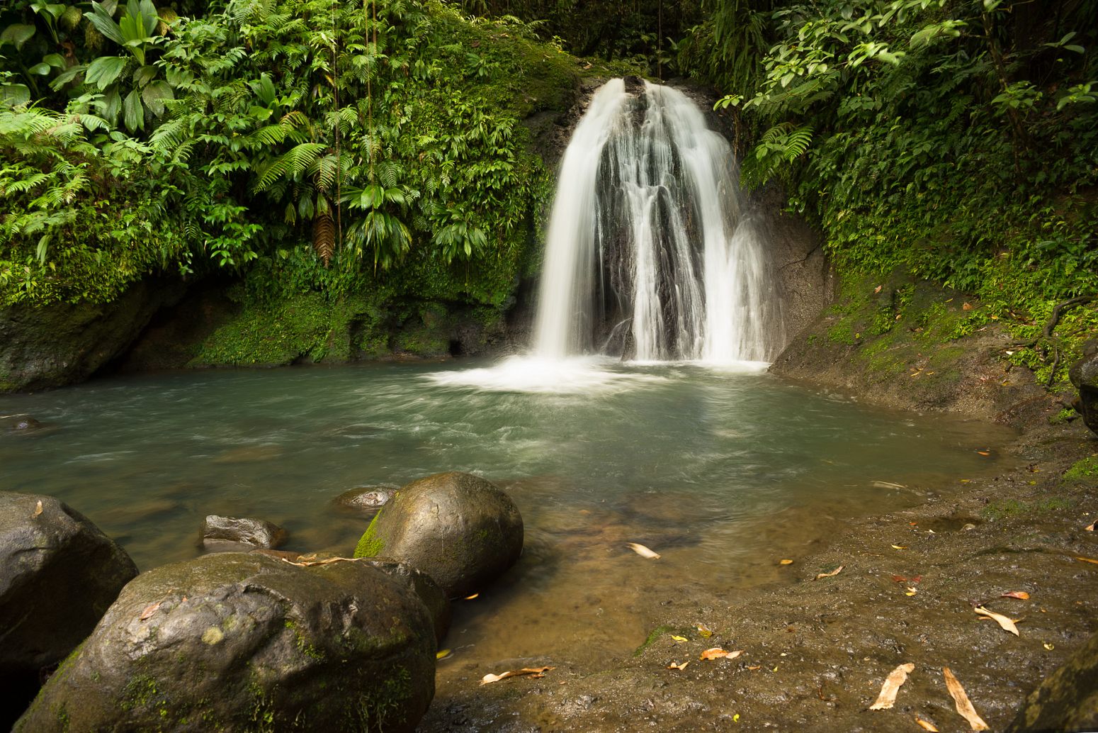 Cascade aux ecrevisses, Guadeloupe.