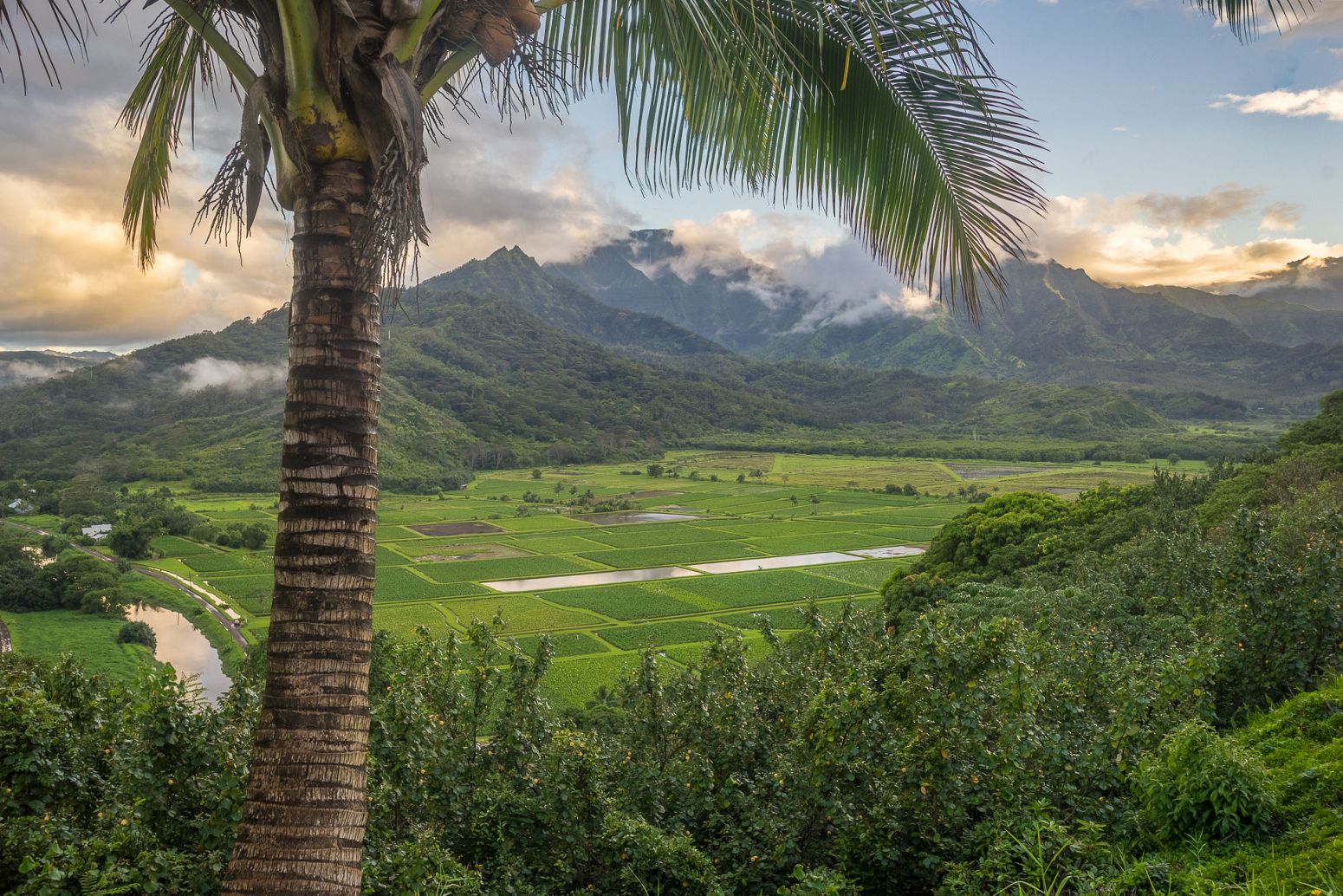 Hanalei Valley, Hawaii, USA