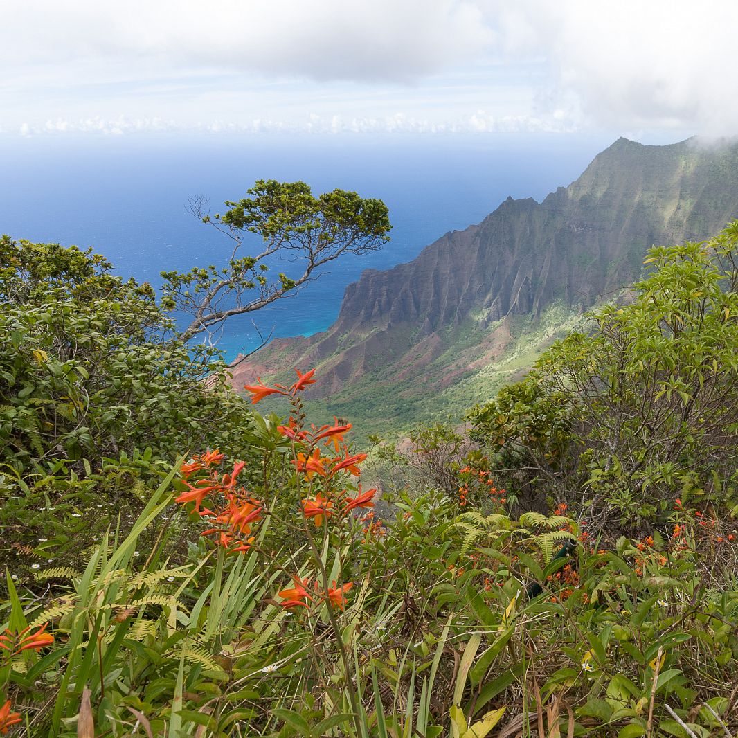 Kalalau Lookout, Kapaa, Hawaii, Stati Uniti