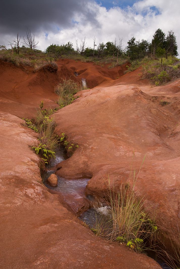 'Red Dirt' along the Waimea Canyon Dr, Hawaii, USA