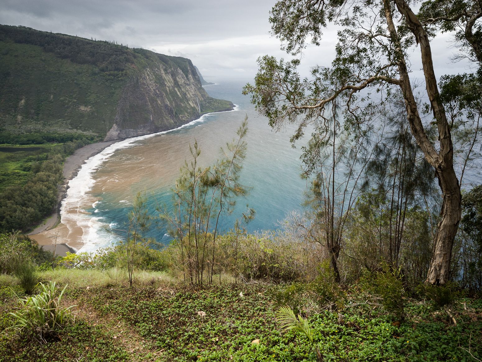 Waipio Valley Lookout, Hawaii, USA