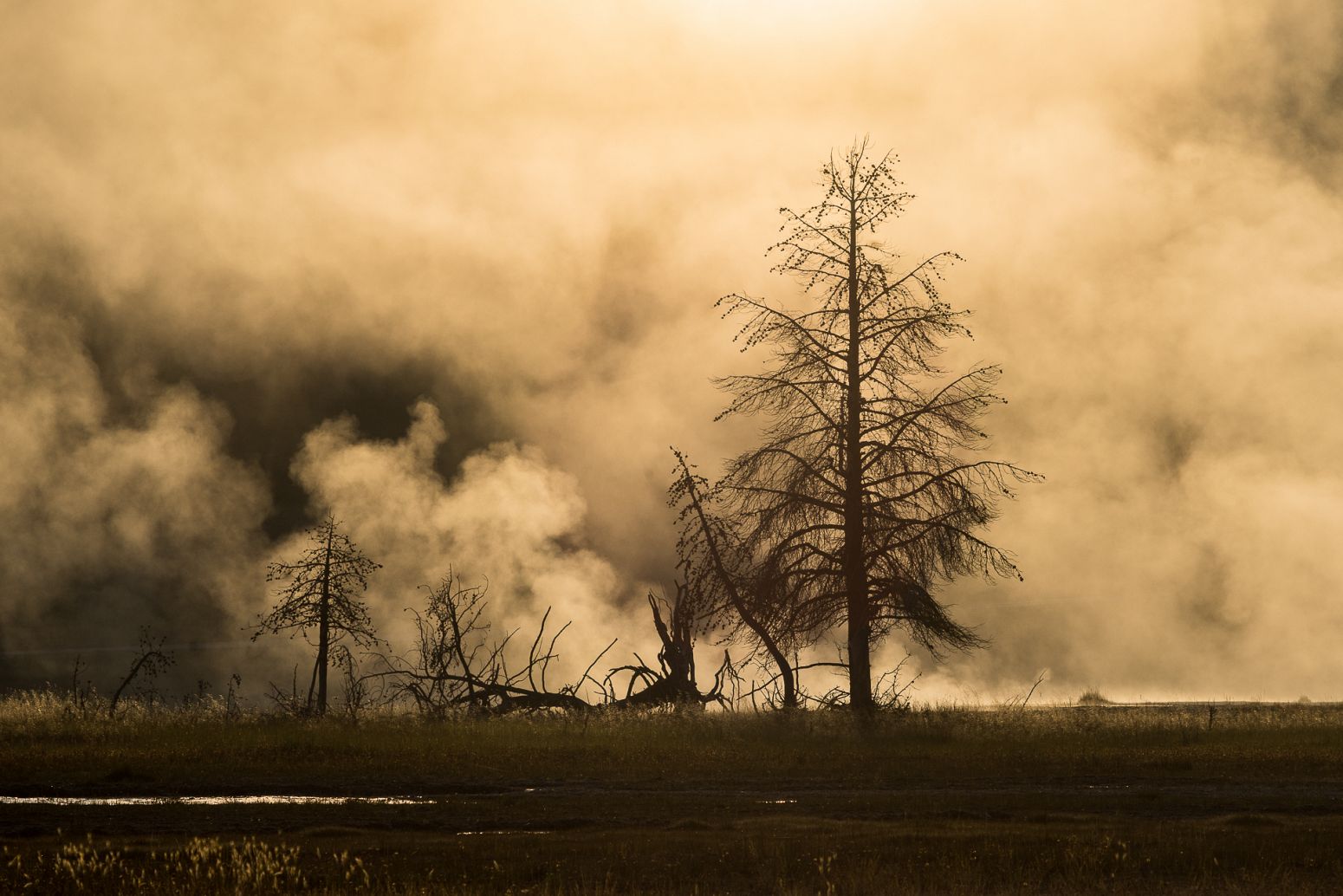 Smoke over Fairy Falls trail, Yellowstone NP, Wyoming, USA