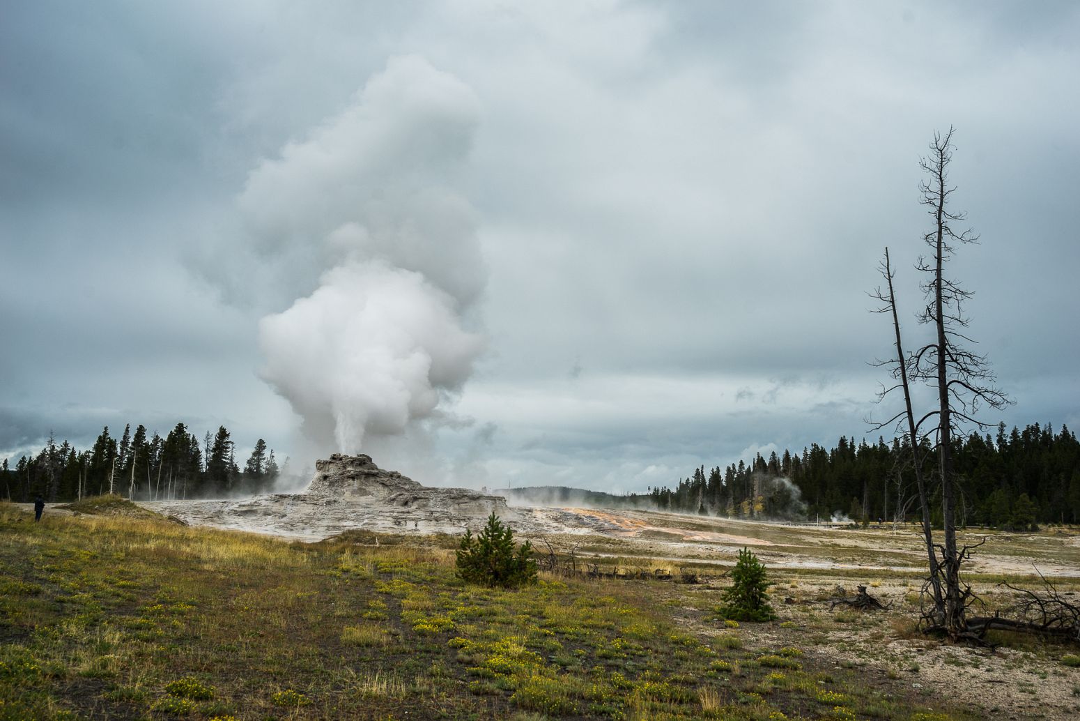 Castle Geyser, Yellowstone NP, Wyoming, USA