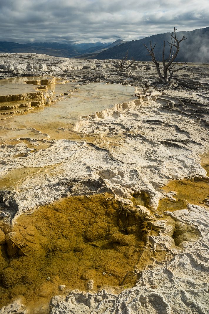 Mammoth terraces, Yellowstone NP, Wyoming, USA