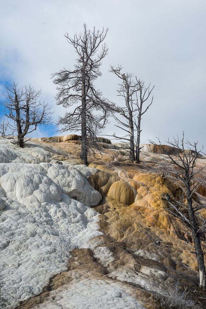 Mammoth terraces, Yellowstone NP, Wyoming, USA