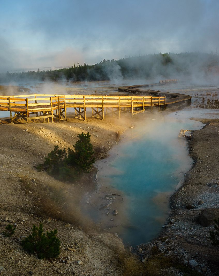 Norris Geyser Basin, Yellowstone NP, Wyoming, USA