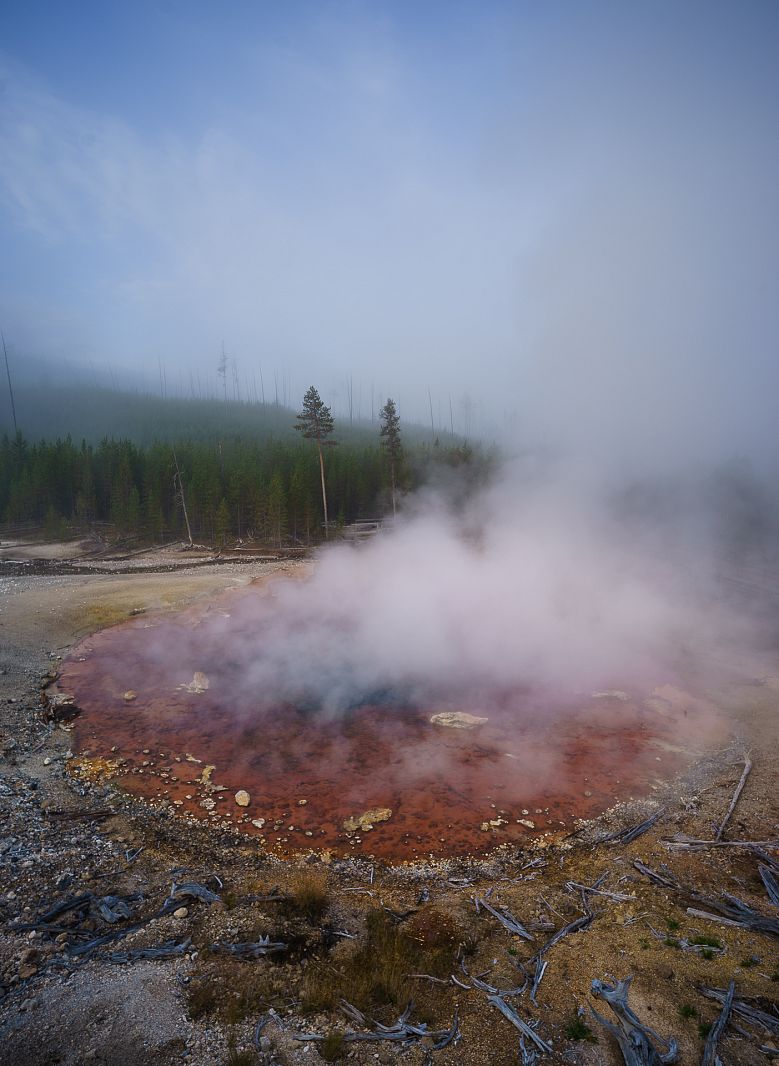 Echinus Geyser, Norris Geyser Basin, Yellowstone NP, Wyoming, USA