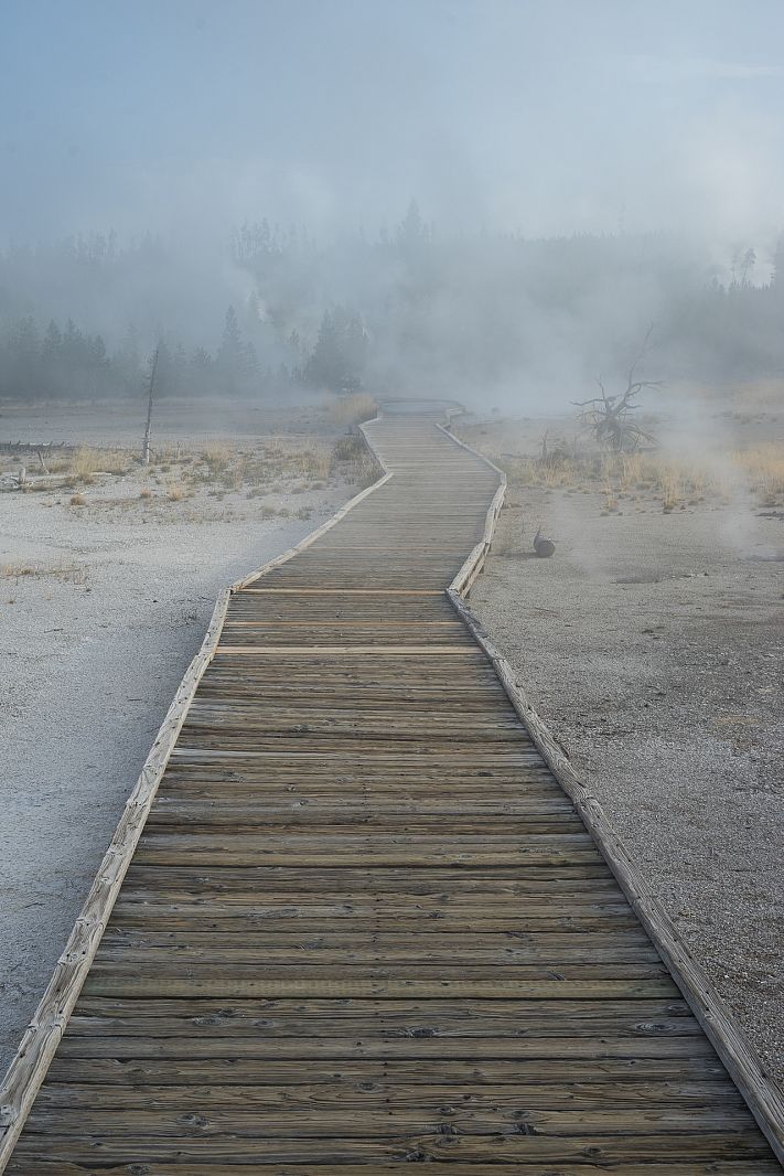 Norris Geyser Basin, Yellowstone NP, Wyoming, USA