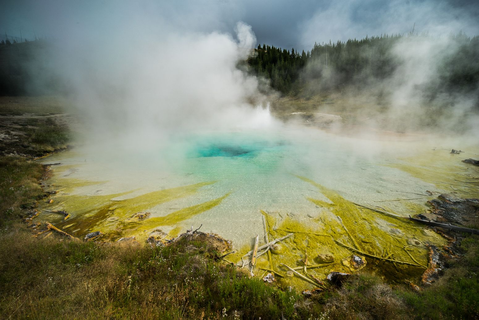 Imperial Geyser, Yellowstone NP, Wyoming, USA