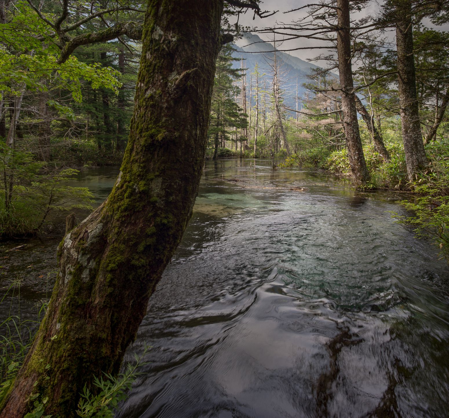 Azusa RIver,  Chubu Sangaku National Park, Kamikochi, Japan