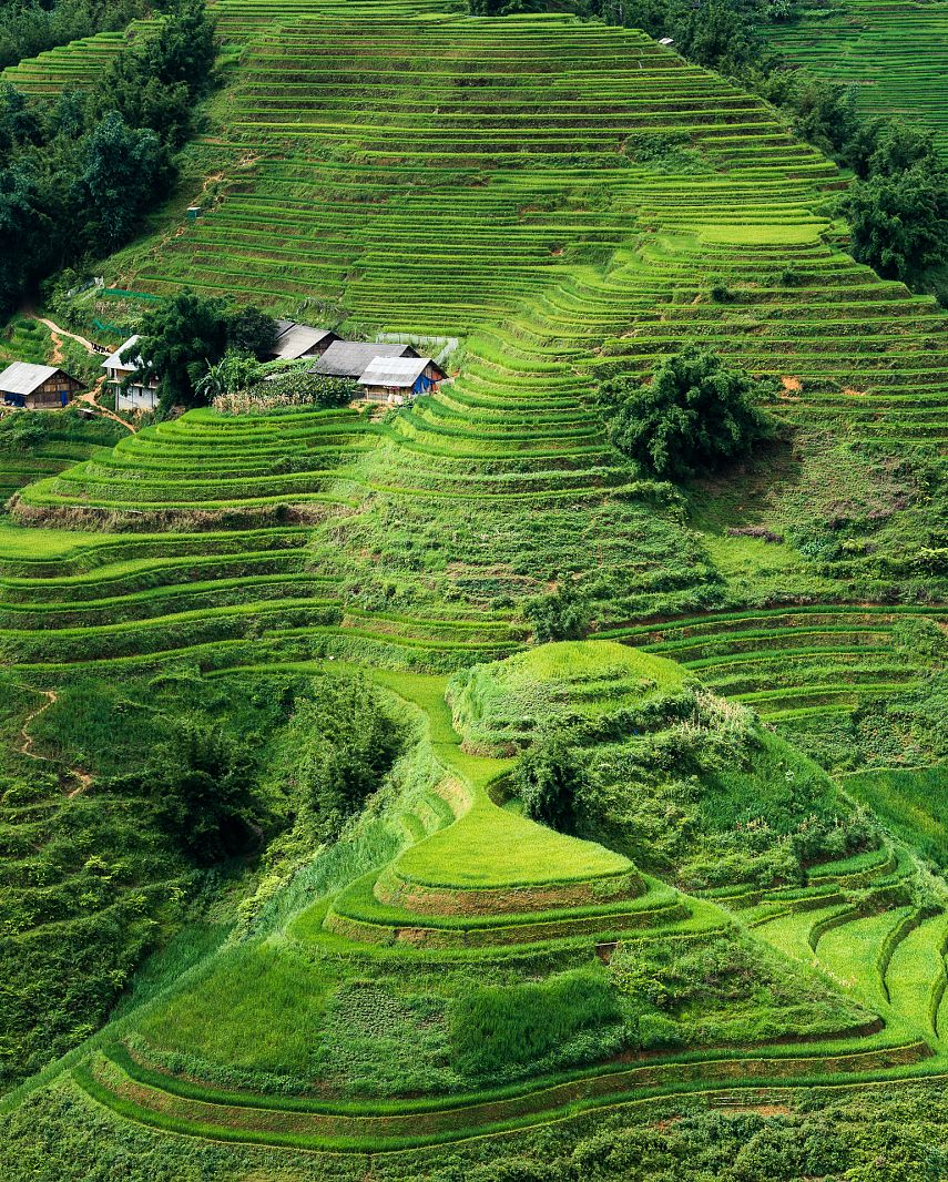 Sapa rice fields, Vietnam