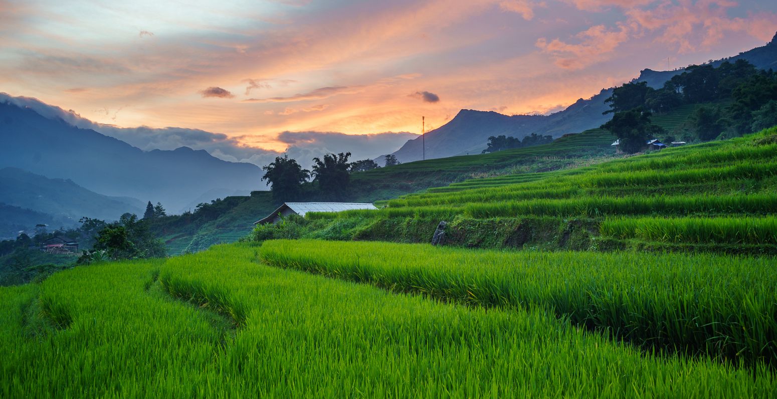 Sapa rice fields, Vietnam