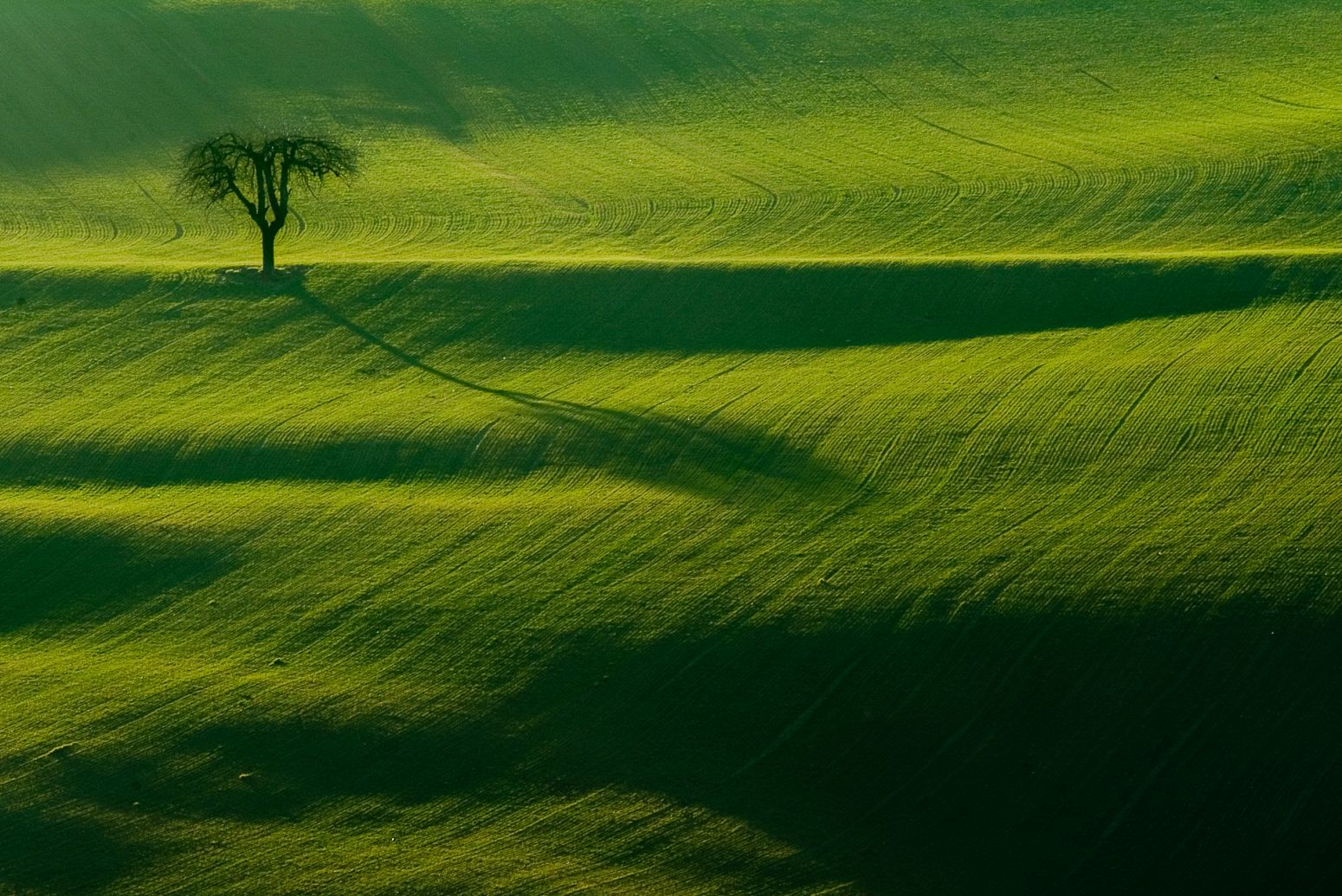 Green field in Baldissero, Torino, Italy