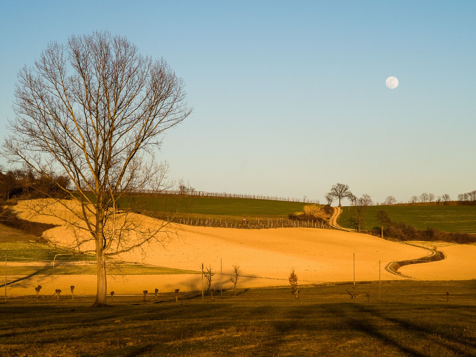 Moonrise in Chieri, Torino, Italy