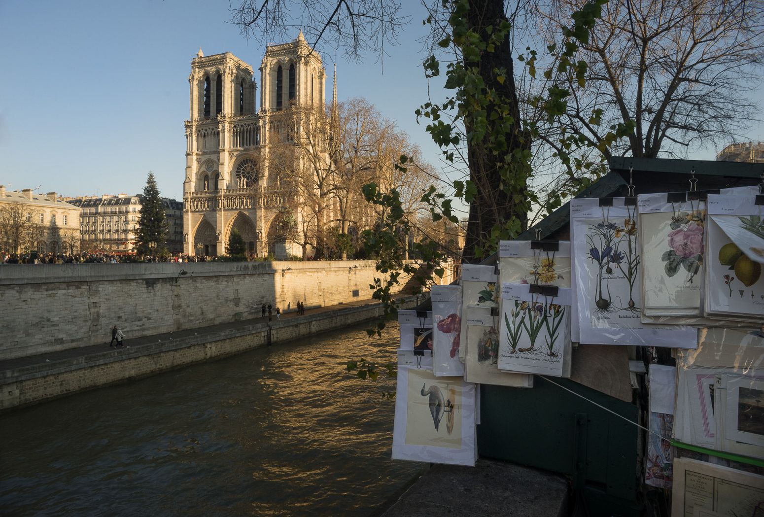 Notre-Dame cathedral, Paris, France