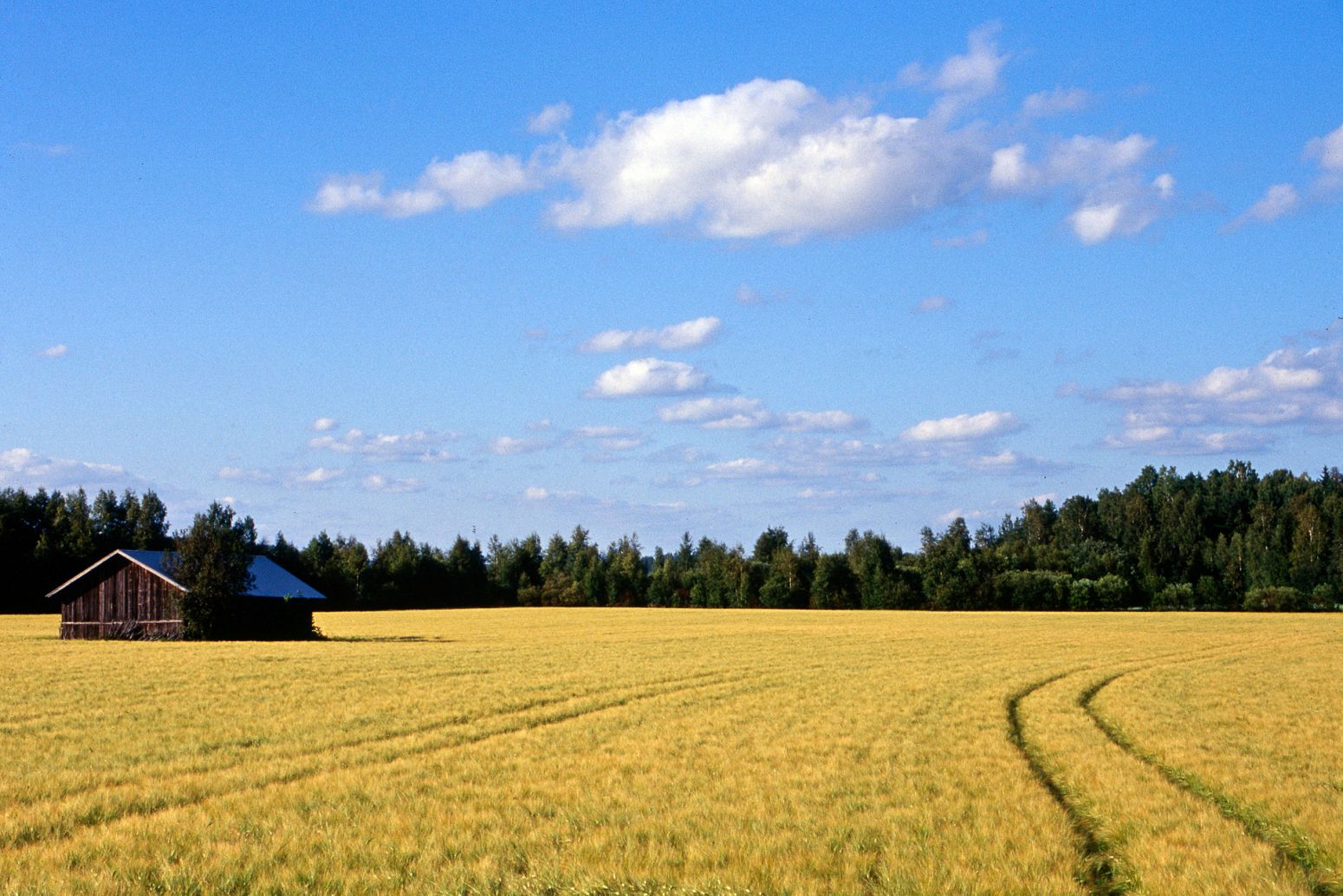 Field and barn, Finland