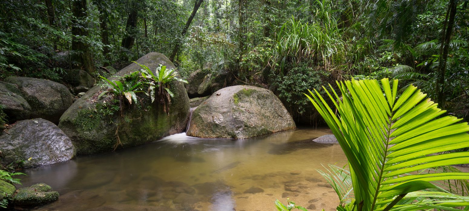 Mossman Gorge, Queensland, Australia