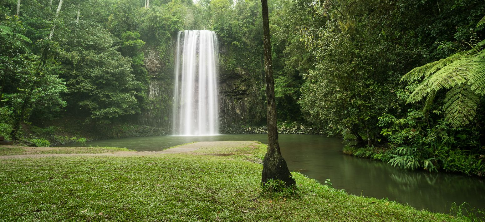 Millaa Millaa falls - part of the Waterfall Circuit, Queensland, Australia