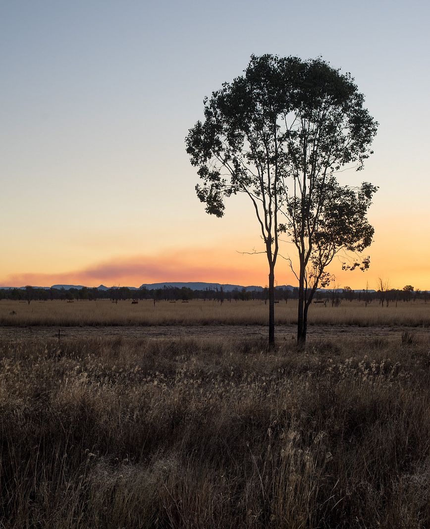 Along the Carnavorn Hwy, Queensland, Australia