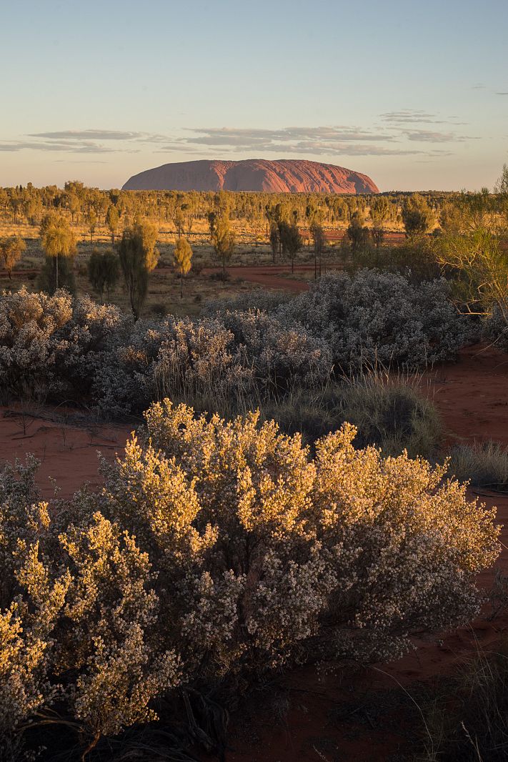 Uluru at sunset, Northern Territory, Australia